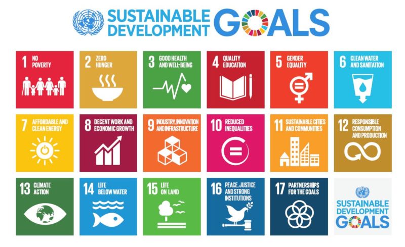 The UN goals
